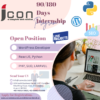 Icon Web Solution Provide Free Intenship Programe